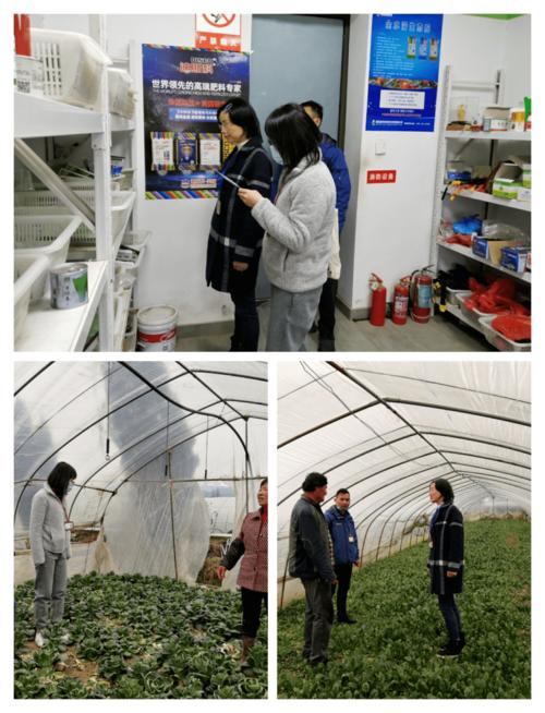 县农业综合行政执法大队三组联动 靶向发力护航农业生产安全